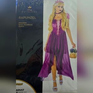 Rapunzel Adult Costume